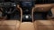 2027 Jeep Grand Cherokee GRAND CHEROKEE L SUMMIT 4X4